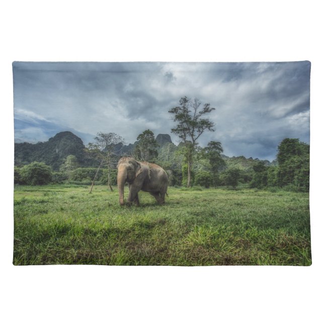 Forests | Kao Sok National Park Cloth Placemat (Front)