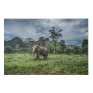 Forests   Kao Sok National Park Faux Canvas Print