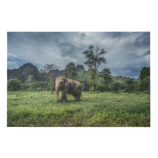 Forests | Kao Sok National Park Faux Canvas Print (Front)