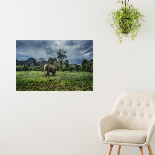 Forests | Kao Sok National Park Foam Board (In Situ (Wall))