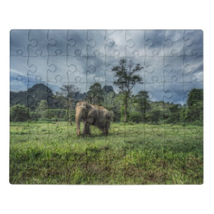 Forests   Kao Sok National Park Jigsaw Puzzle