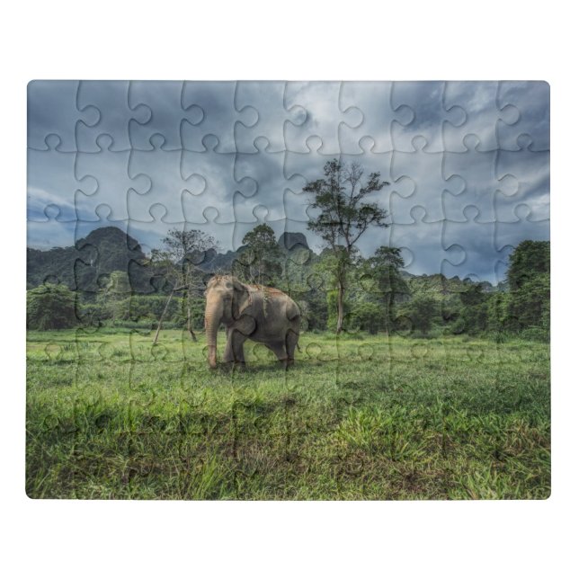 Forests | Kao Sok National Park Jigsaw Puzzle (Puzzle Horizontal)