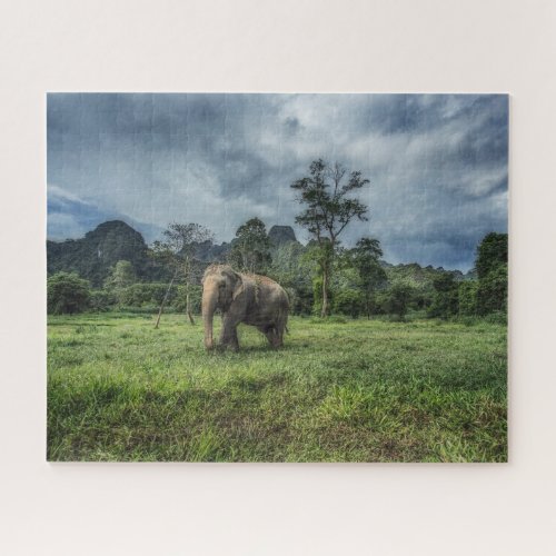 Forests  Kao Sok National Park Jigsaw Puzzle