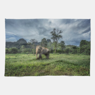 Forests Kao Sok National Park Kitchen Towel