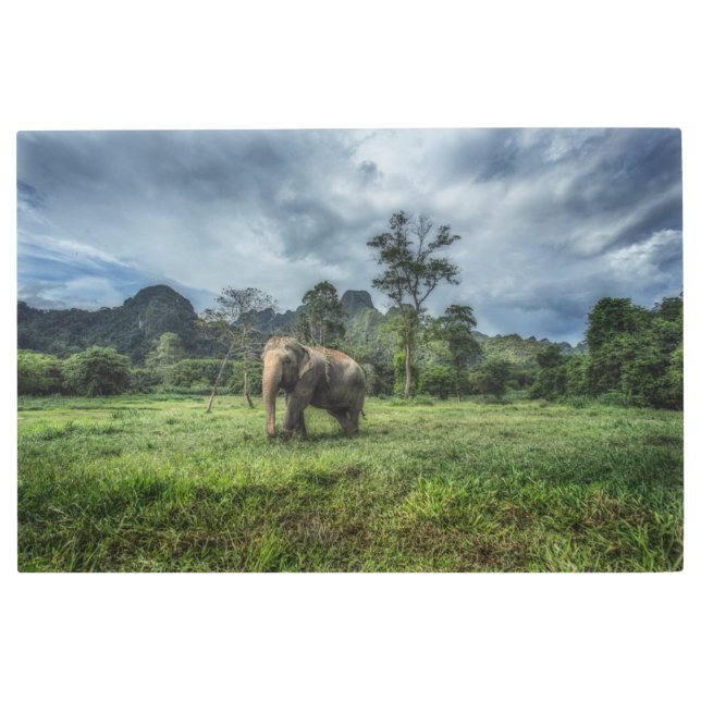Forests | Kao Sok National Park Metal Print (Front)