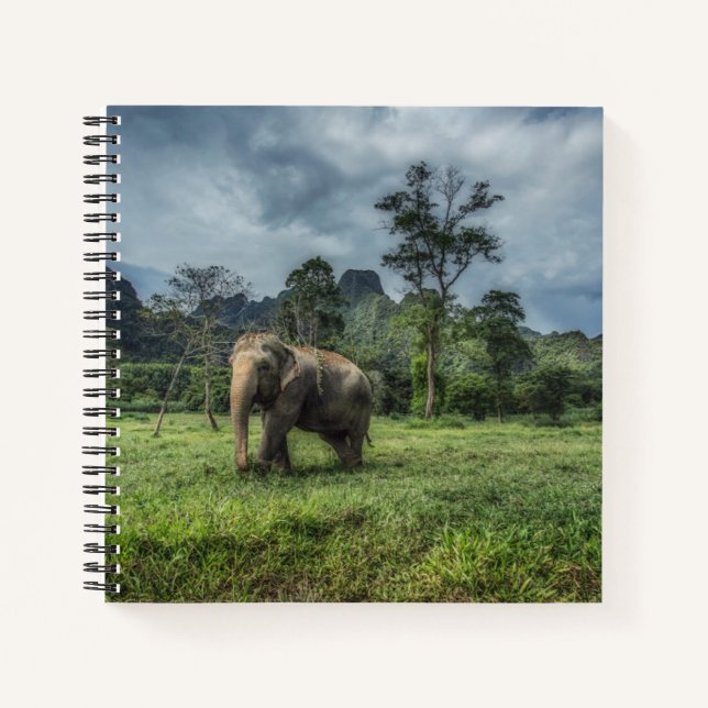 Forests | Kao Sok National Park Notebook (Front)