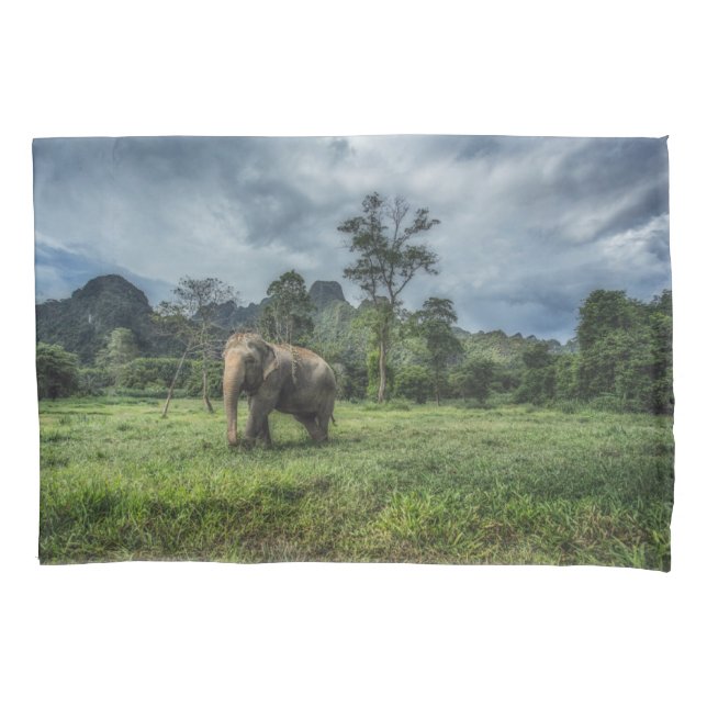 Forests | Kao Sok National Park Pillow Case (Front)