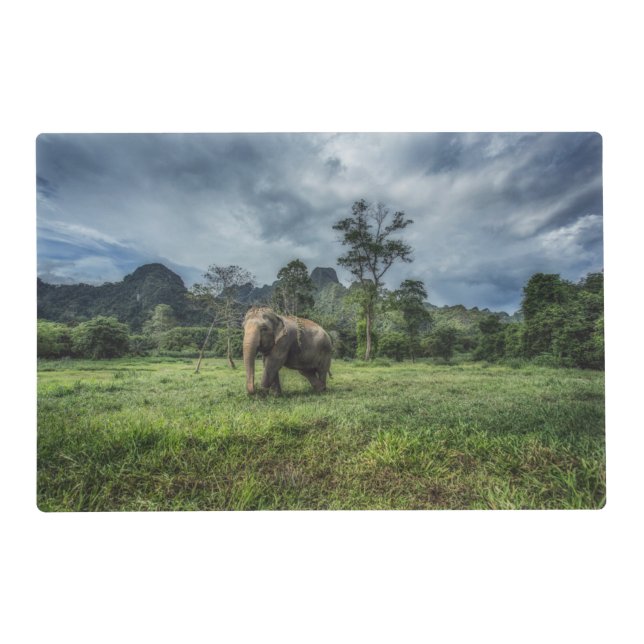 Forests | Kao Sok National Park Placemat (Front)
