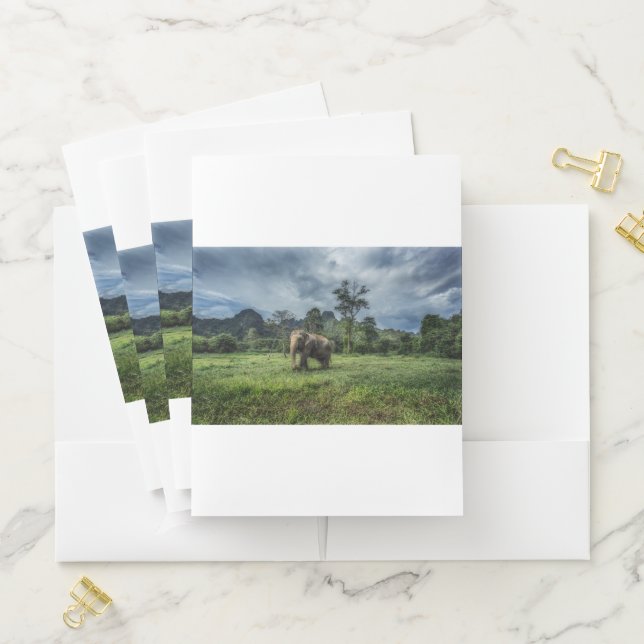 Forests | Kao Sok National Park Pocket Folder (In Situ)