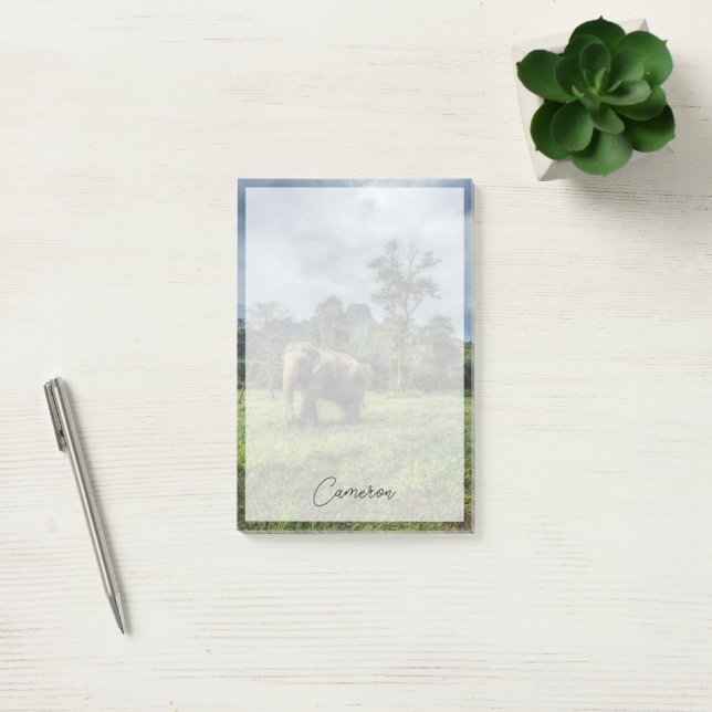 Forests | Kao Sok National Park Post-it Notes (Office)