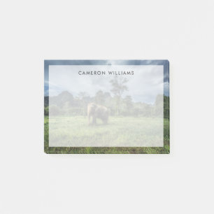 Forests Kao Sok National Park Post-it Notes