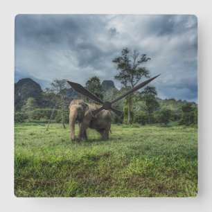 Forests Kao Sok National Park Square Wall Clock