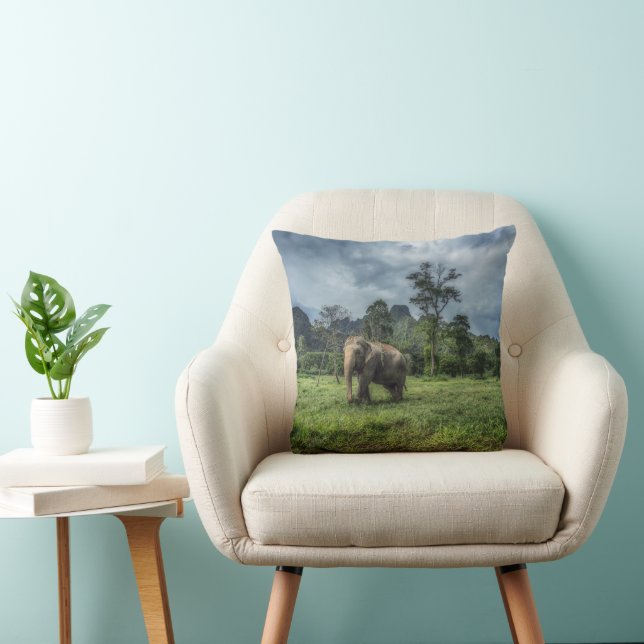 Forests | Kao Sok National Park Throw Pillow (Chair)