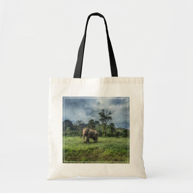 Forests | Kao Sok National Park Tote Bag (Front)