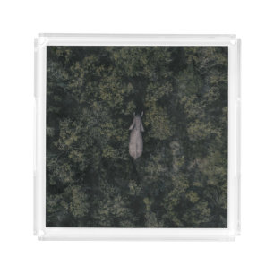 Forests Lalibela Game Reserve Acrylic Tray