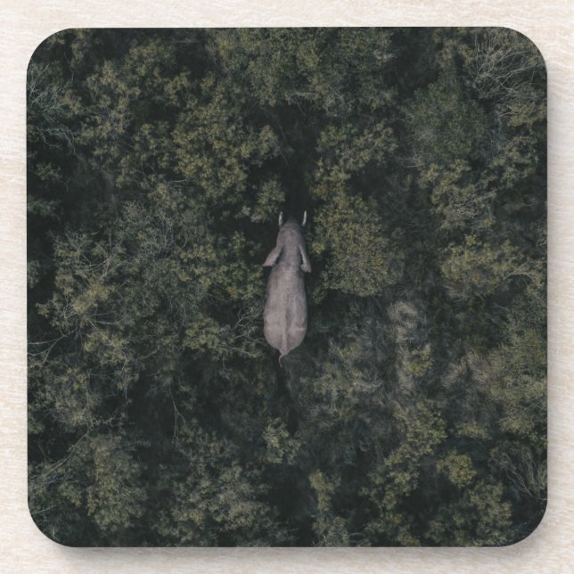 Forests | Lalibela Game Reserve Beverage Coaster (Front)