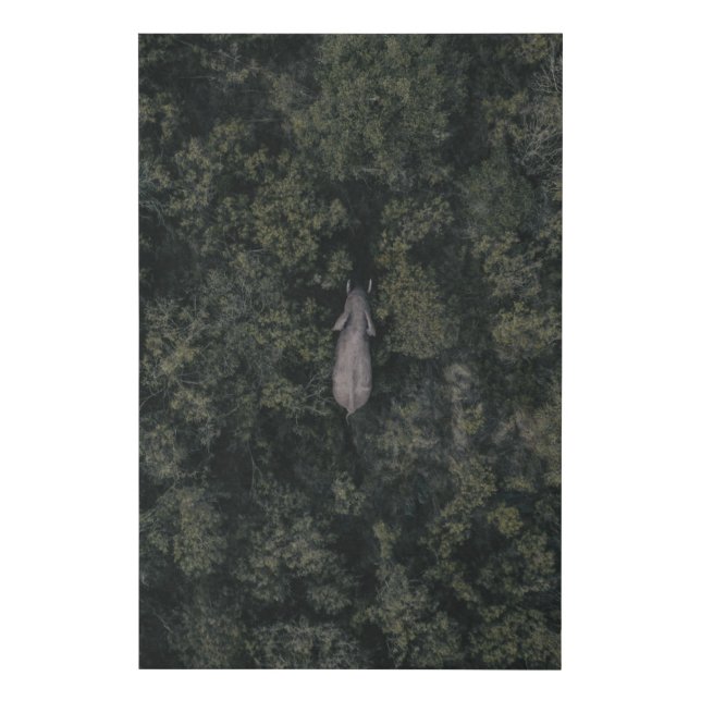 Forests | Lalibela Game Reserve Faux Canvas Print (Front)
