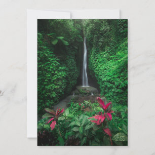 Forests   Leke Leke Waterfalls in Bali Thank You Card