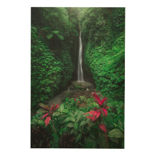 Forests   Leke Leke Waterfalls in Bali Wood Wall Art