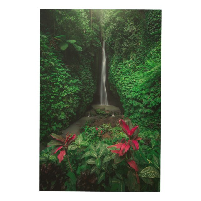Forests | Leke Leke Waterfalls in Bali Wood Wall Art (Front)