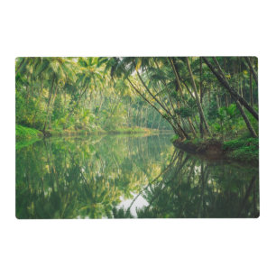 Forests   Mangrove Forest Placemat