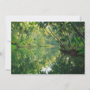 Forests Mangrove Forest Thank You Card