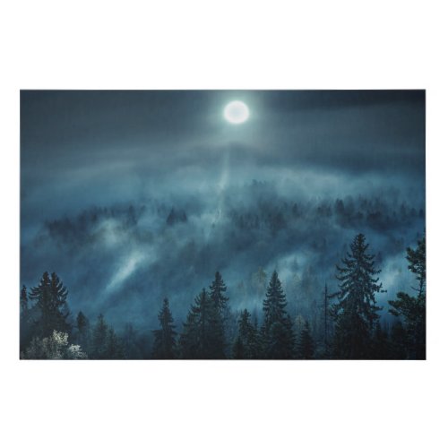 Forests  Moonlit Forest Faux Canvas Print