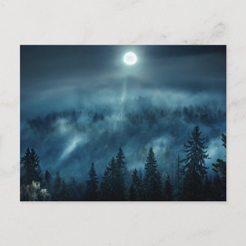 Forests  Moonlit Forest Postcard