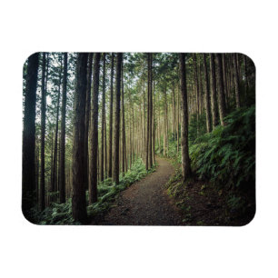 Forests   Mountains of Wakayama Japan Magnet