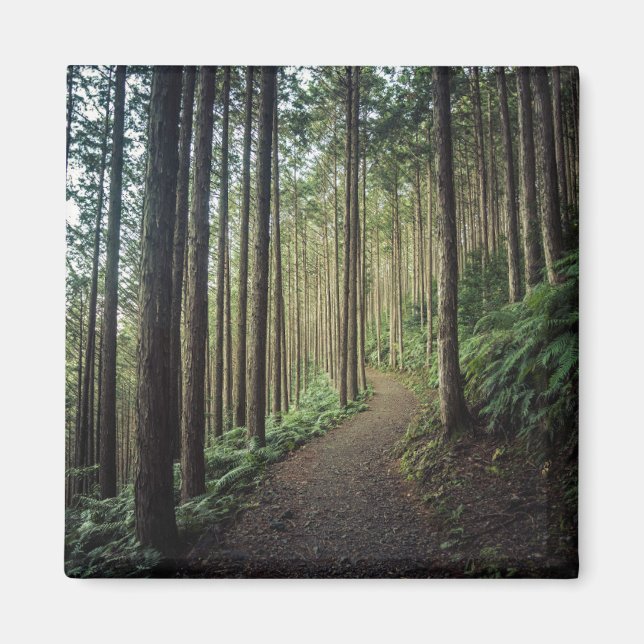 Forests | Mountains of Wakayama Japan Magnet (Front)