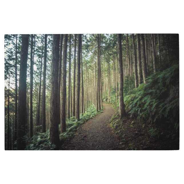 Forests | Mountains of Wakayama Japan Metal Print (Front)