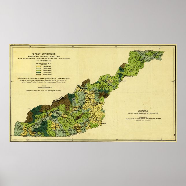 Forests of Western North CarolinaPanoramic Map Poster (Front)