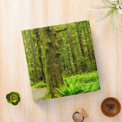 Forests  Olympic National Park 3 Ring Binder