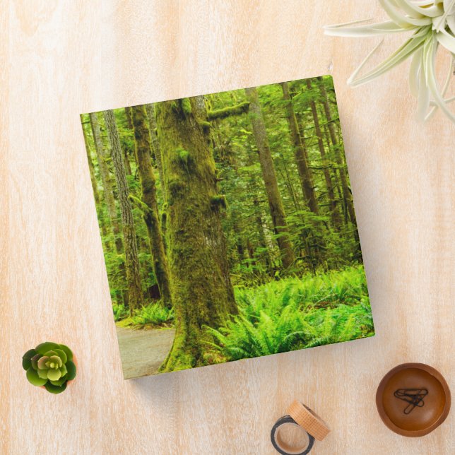 Forests | Olympic National Park 3 Ring Binder (In Situ)