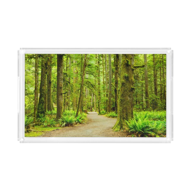 Forests | Olympic National Park Acrylic Tray (Front)