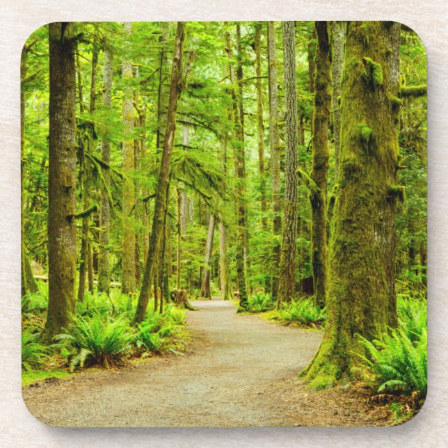 Forests | Olympic National Park Beverage Coaster (Front)