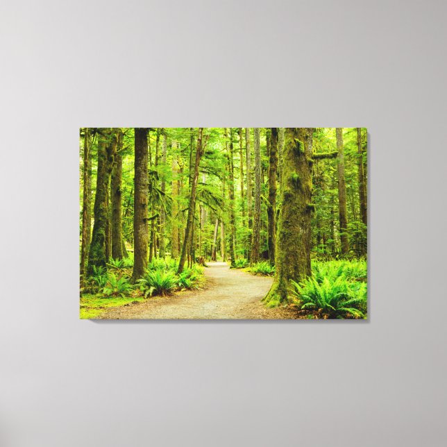 Forests | Olympic National Park Canvas Print (Front)