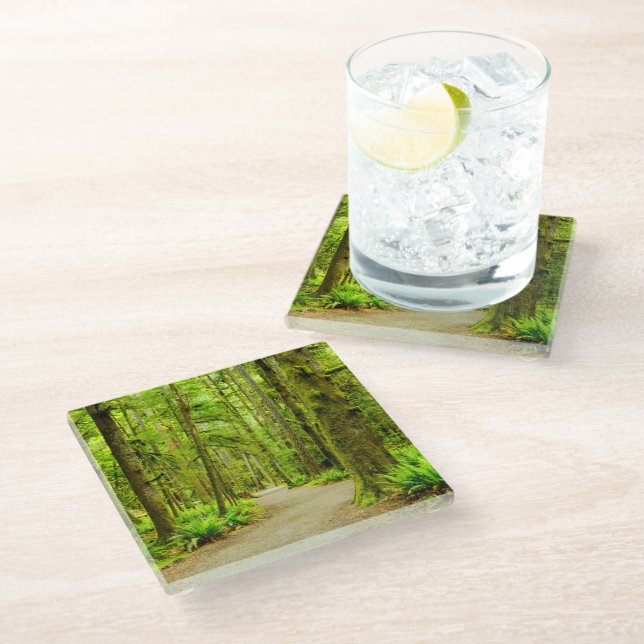 Forests | Olympic National Park Glass Coaster (Angled)