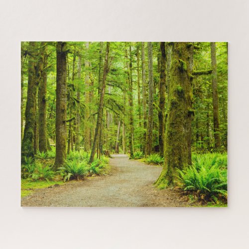 Forests  Olympic National Park Jigsaw Puzzle