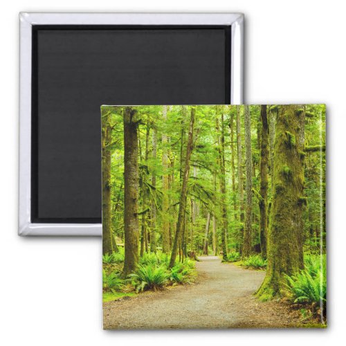 Forests  Olympic National Park Magnet