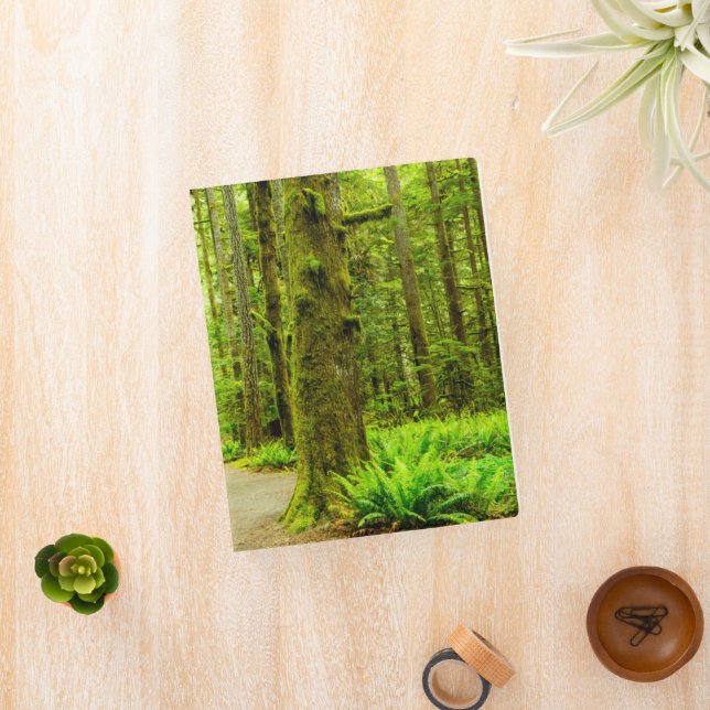 Forests | Olympic National Park Mini Binder (InSitu)