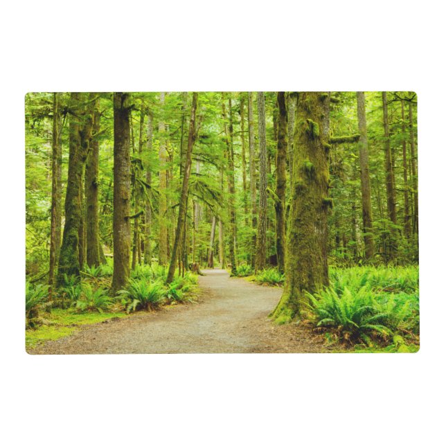 Forests | Olympic National Park Placemat (Front)