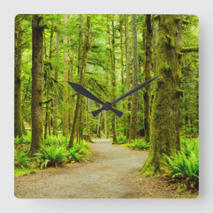 Forests   Olympic National Park Square Wall Clock