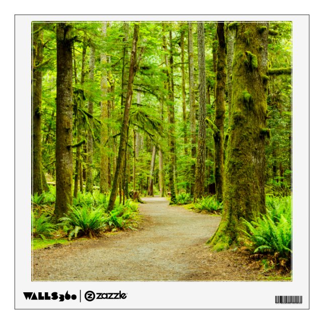 Forests | Olympic National Park Wall Decal (Front)