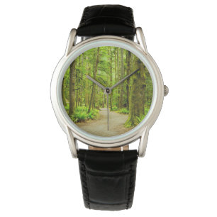 Forests Olympic National Park Watch