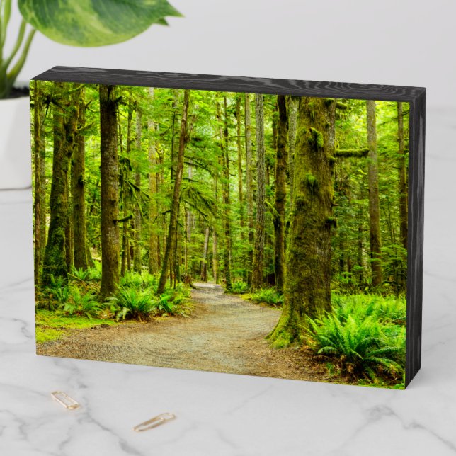 Forests | Olympic National Park Wooden Box Sign (In Situ Horizontal)