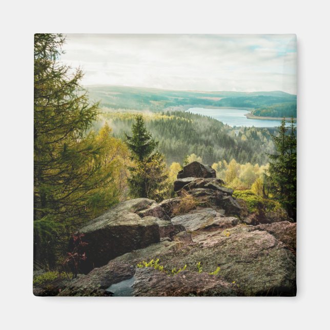 Forests | Ore Mountains Germany Magnet (Front)