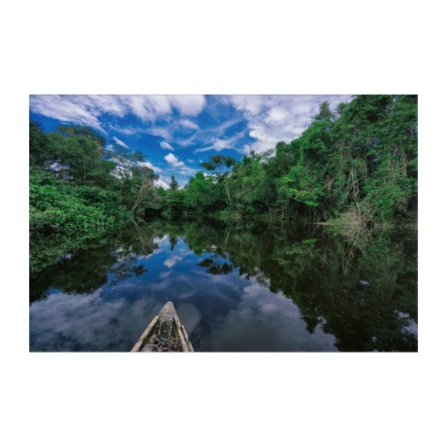 Forests | Peruvian Jungle Forest Acrylic Print (Front)