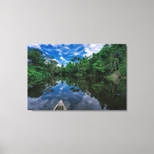 Forests   Peruvian Jungle Forest Canvas Print