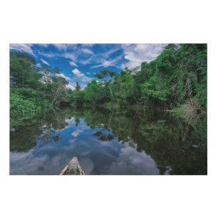 Forests Peruvian Jungle Forest Faux Canvas Print